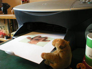 Mr Monkey watching the faux monkey being printed