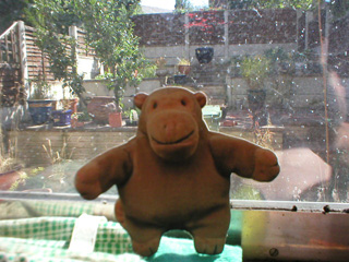A faux monkey posing at a window