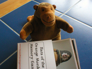 Mr Monkey playing his memory game