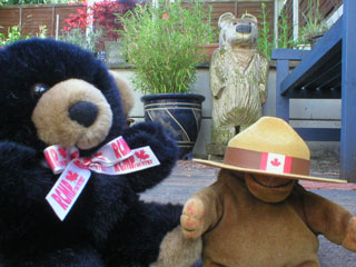 Mr Monkey tries on Mr Bear's Mountie hat