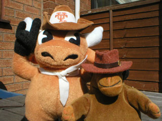 Mr Monkey and Mr Bevo compare stetsons