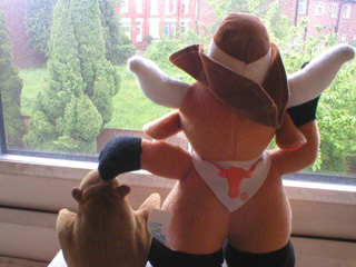 Mr Monkey and Mr Bevo look out of the window at a damp garden