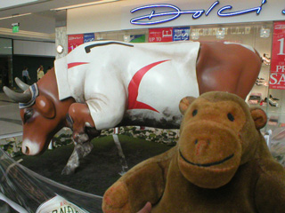 Mr Monkey with a rugby playing cow