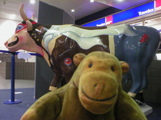 Mr Monkey in front of a cow in Royal Air Force flight gear