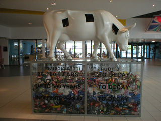 A white cow, with holes cut in it, standing on a plastic case of rubbish