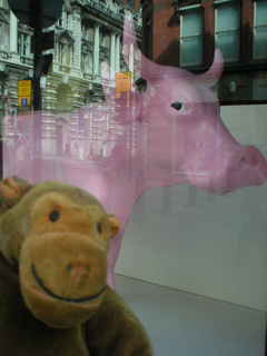 Mr Monkey with the snout of a pig-faced cow
