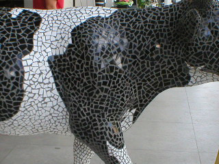 Details of the black and white mosaic on a cow
