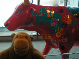 Mr Monkey in front of a red cow