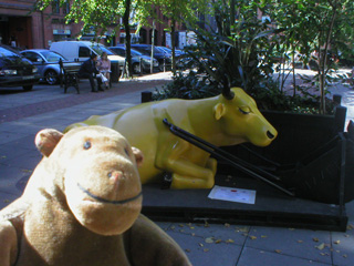 Mr Monkey with a recumbent yellow cow with a dozer blade