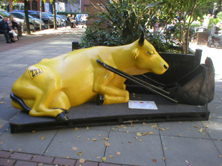 A yellow cow with a black dozer blade