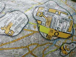 Detail of the maps on the Alphabet Cow