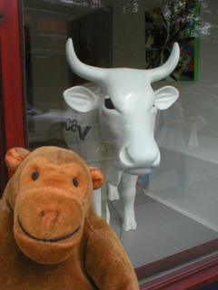 Mr Monkey in front of a white cow with dark eyes
