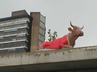 A cow in a red robe, smoking a pipe