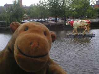 Mr Monkey looking at a cow floating on a raft