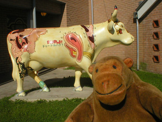 Mr Monkey with a graffiti-style decorated cow