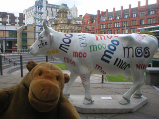 Mr Monkey in front of a cow with MOO written all over it