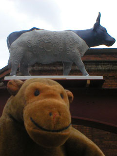 Mr Monkey looking up at a cow with moon craters and horizon on its side