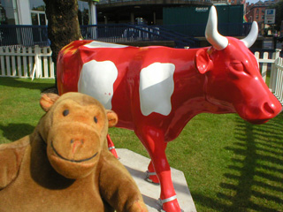 Mr Monkey with a red and white cow