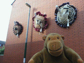 Mr Monkey under the legs and skirts of three can-can cows, high on a wall