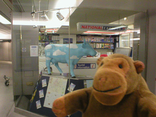 Mr Monkey in front of an office with a small blue cow in the window
