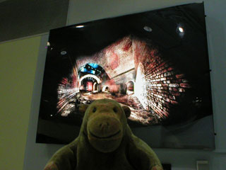Mr Monkey looking at the photo from the Reality Hack exhibition