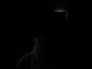 Mr Monkey in the dark of the Quartet