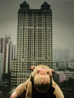 Mr Monkey looking at Lanwei 1