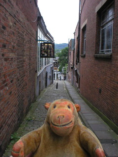 Mr Monkey looking at hills from Back Wallgate