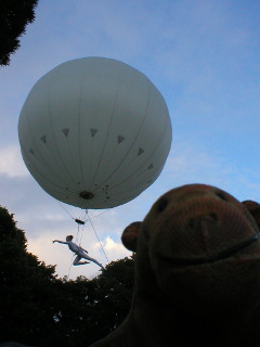 Mr Monkey watching the Moon and the acrobat pass above him