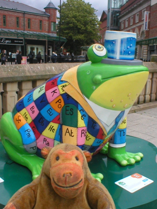 Mr Monkey looking at Chemit frog