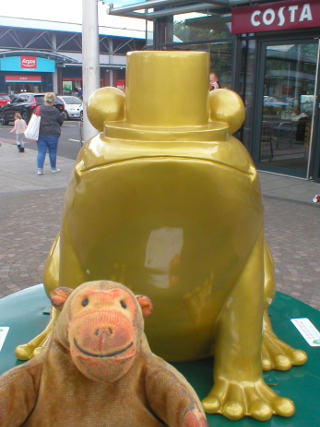 Mr Monkey looking at Midas frog