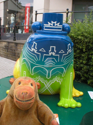 Mr Monkey looking at the Fanatical Frog