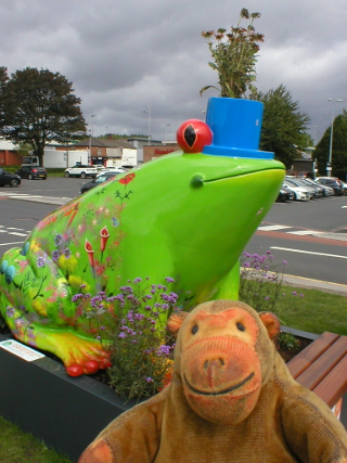 Mr Monkey looking at Lillian Phibian the frog