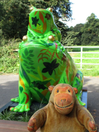 Mr Monkey looking at Forest Frog