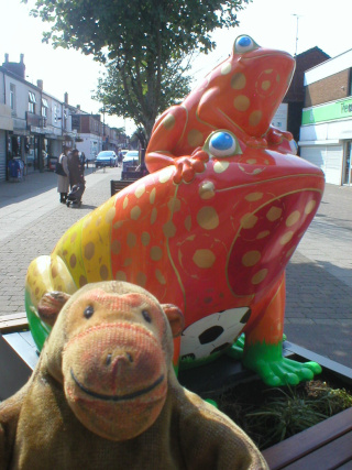 Mr Monkey looking at Sunshine Frog