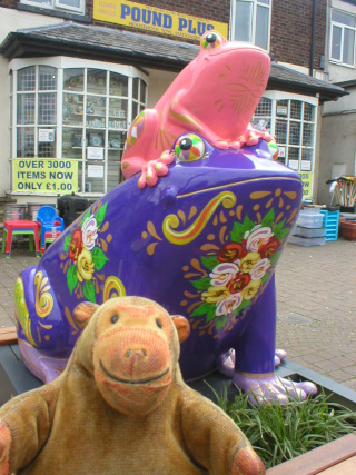 Mr Monkey looking at Canal Frog