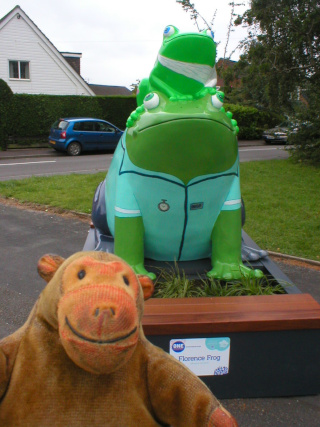 Mr Monkey looking at Florence Frog