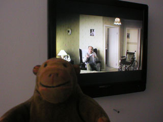Mr Monkey watching The End by Barney and Lucy Heywood