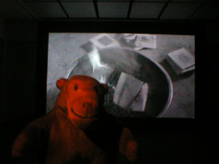 Mr Monkey watching the film : photographs burning