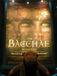 Mr Monkey looking at the poster for The Bacchae