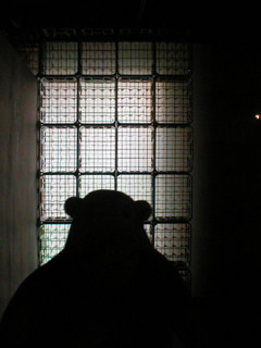 Mr Monkey looking at a window made of plastic crates