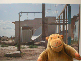 Mr Monkey looking at Back Lot by Ruth Maclennan