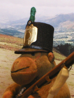 Mr Monkey wearing his stovepipe shako while patrolling the hills above the Baztán valley