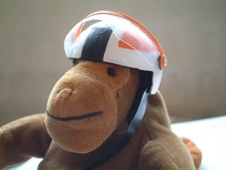 Mr Monkey in his crash helmet with the visor up