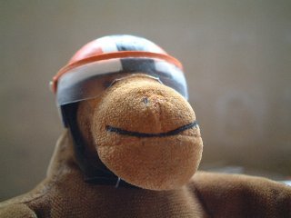 Mr Monkey in his crash helmet with the visor down