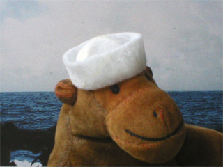 Monkey watching the Pacific Ocean from the deck of a ship