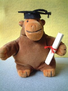 Monkey in his academic mortarboard