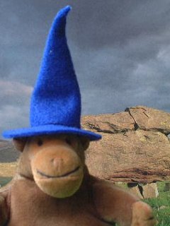 Monkey in his pointy wizard hat