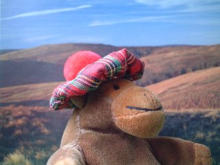 Monkey in his tam o'shanter