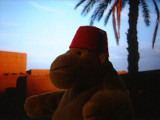 Fez